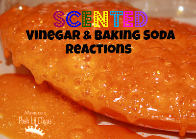 Scented Vinegar and Baking Soda Reactions