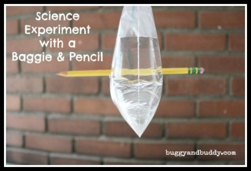 baggie-and-pencil-science