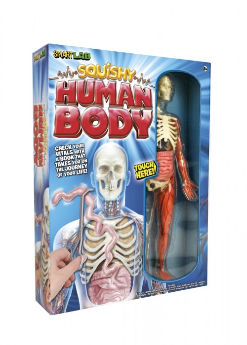 squishy human body