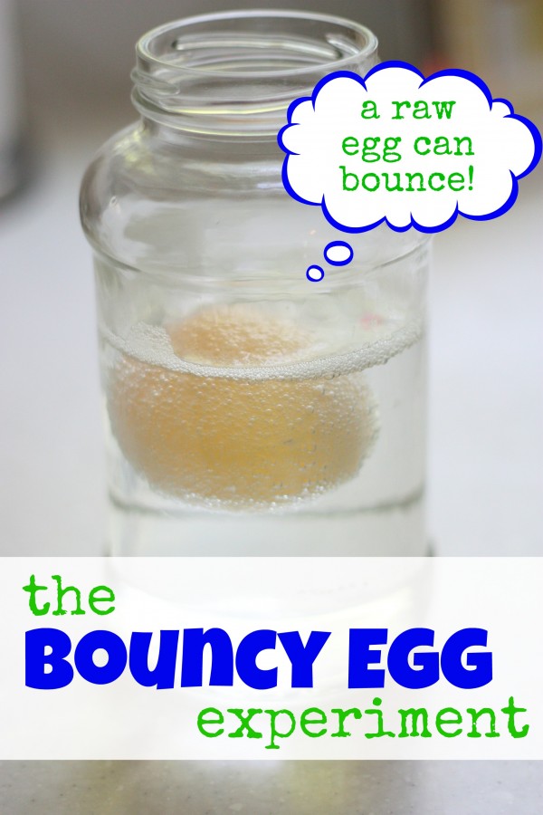 The-Bouncy-Egg-Experiment