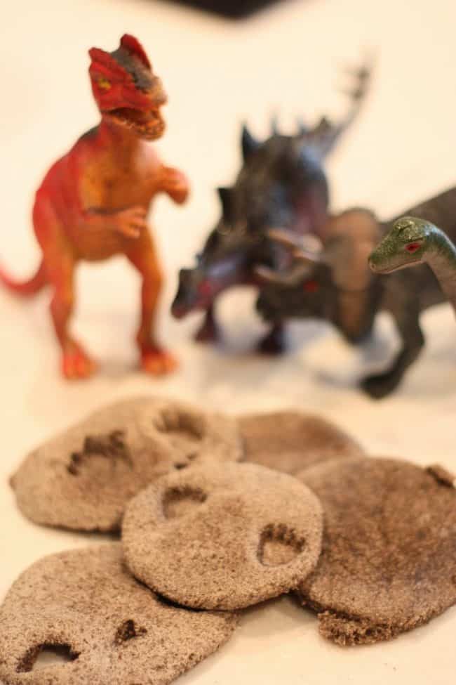 Dinosaur Fossils Craft