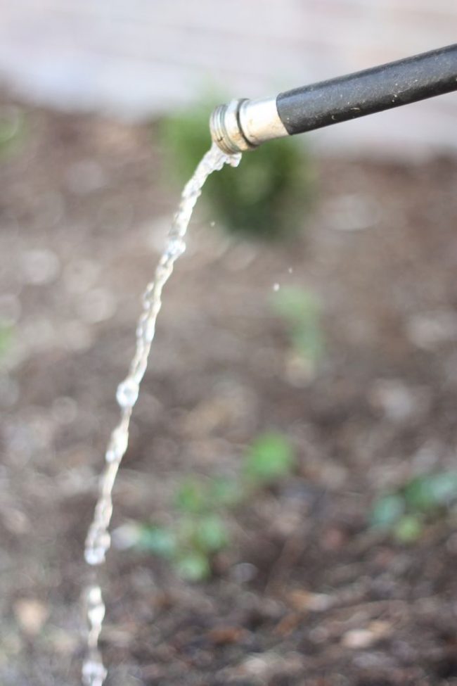 A Lesson Learned:  Thirsty