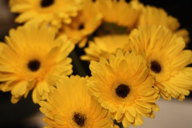 A Lesson Learned:  Yelling