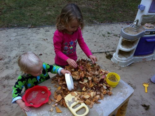 leaf play