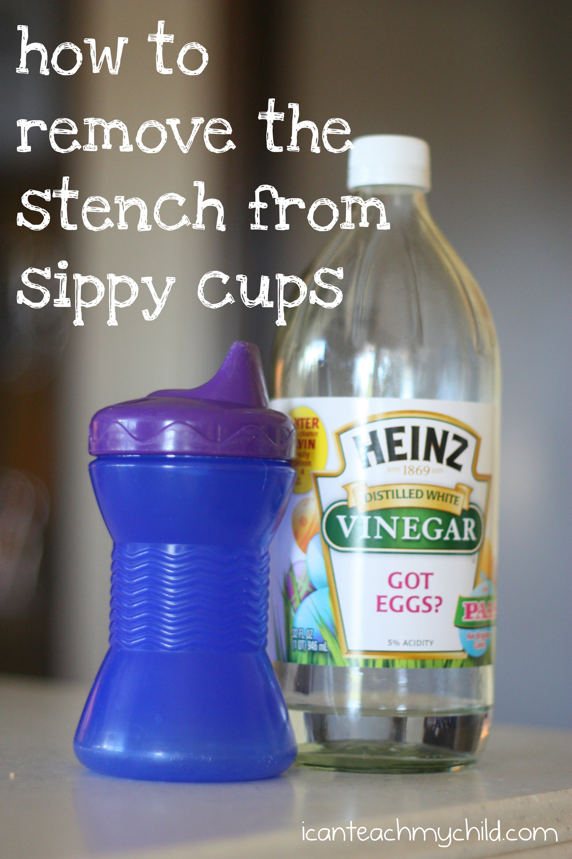 How To Clean A Sippy Cup Remove Mold From Sippy Cups Lids