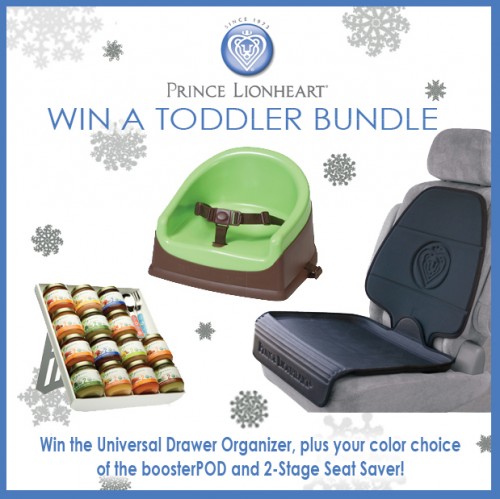 Winner of the Prince Lionheart Toddler Bundle