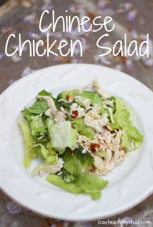 Chinese Chicken Salad - I Can Teach My Child!