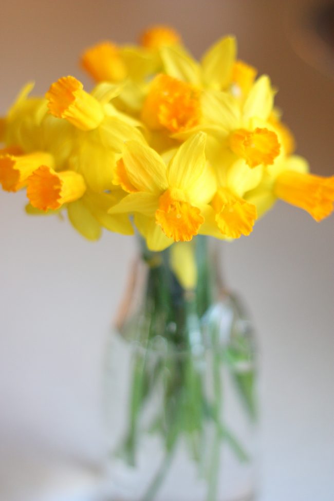 Happy May Day!
