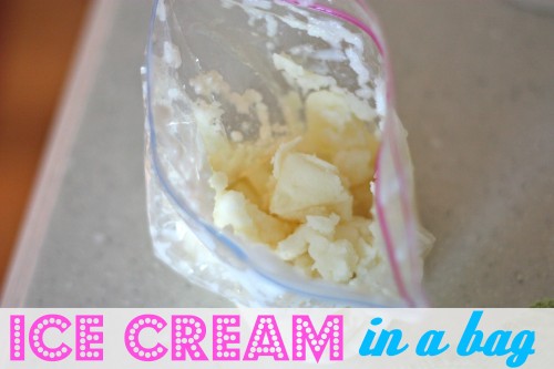 ice cream in a bag