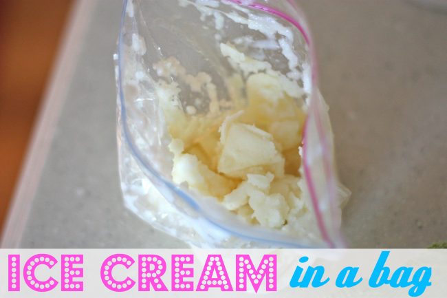 Ice Cream in a Bag Experiment