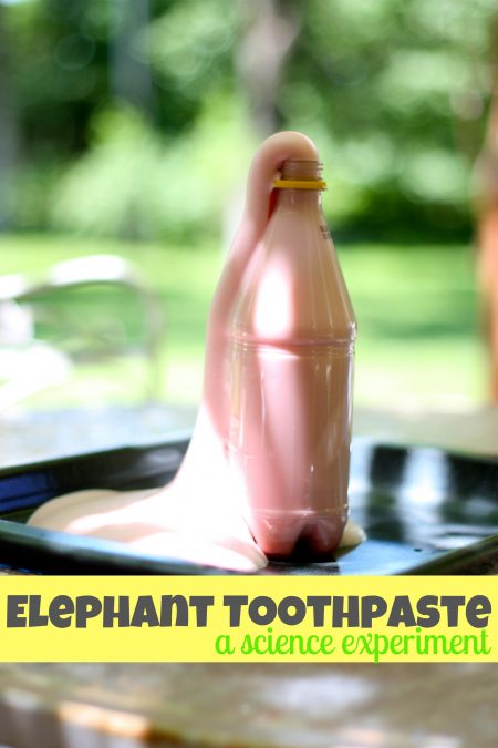 essay about elephant toothpaste