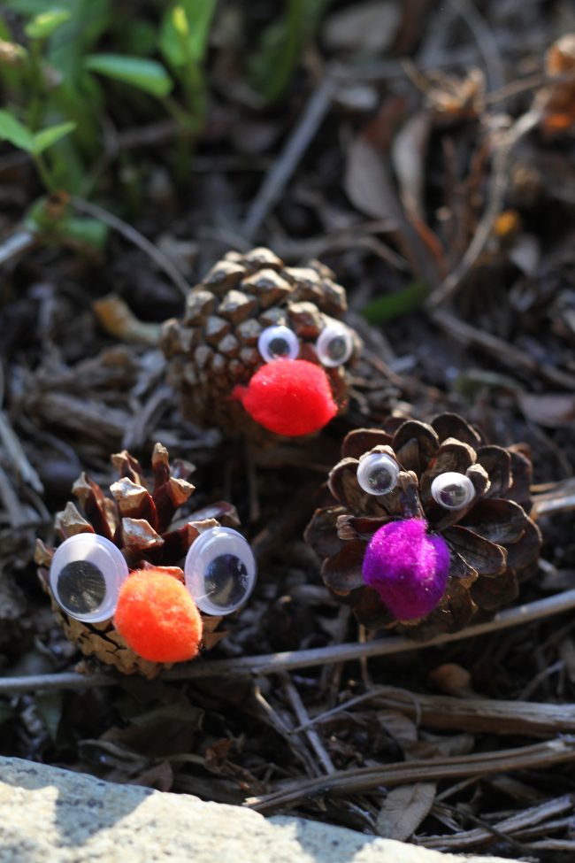 Pine Cone Creatures