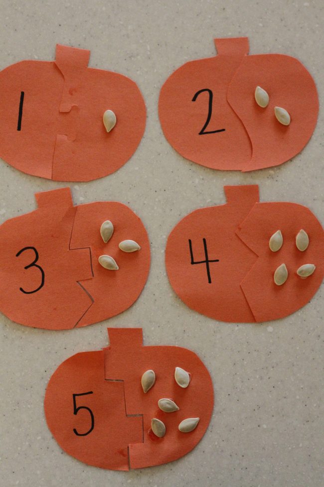 Pumpkin Seed Puzzles