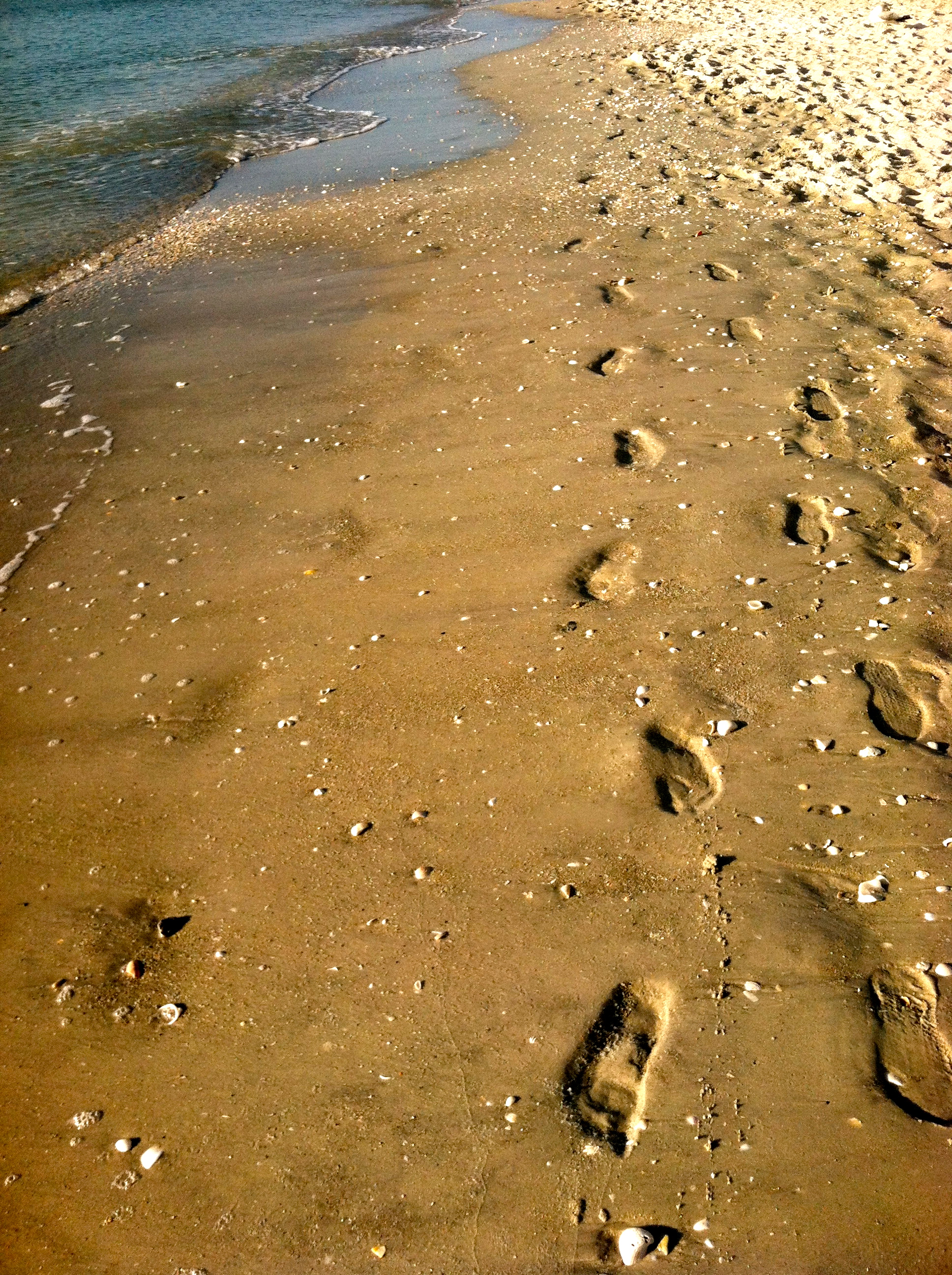 Sand Between My Toes I Can Teach My Child!