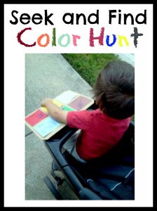 Seek and Find Color Hunt