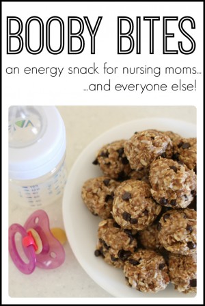 The Best No Bake Lactation Bites - I Can Teach My Child!