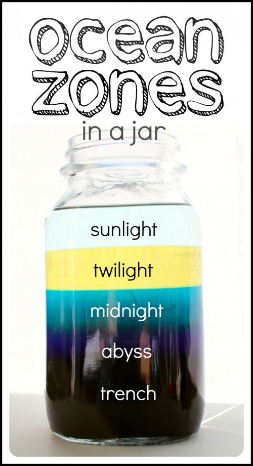 Ocean zones (the layers of an ocean) in a jar