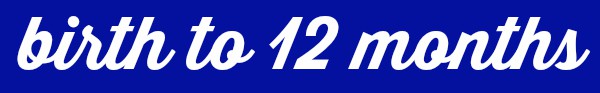 Birth to 12 months