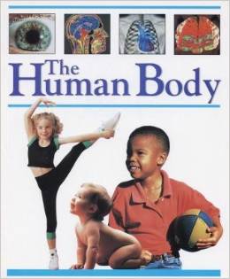 The Human Body