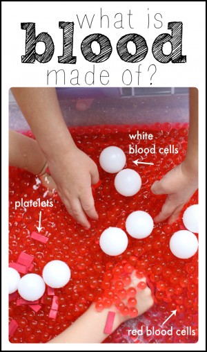 What is blood made of  A hands-on science demonstration