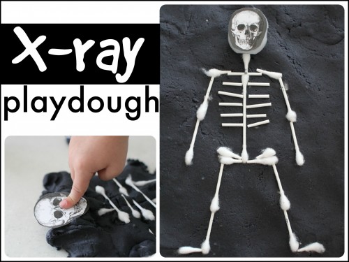 X-Ray Playdough