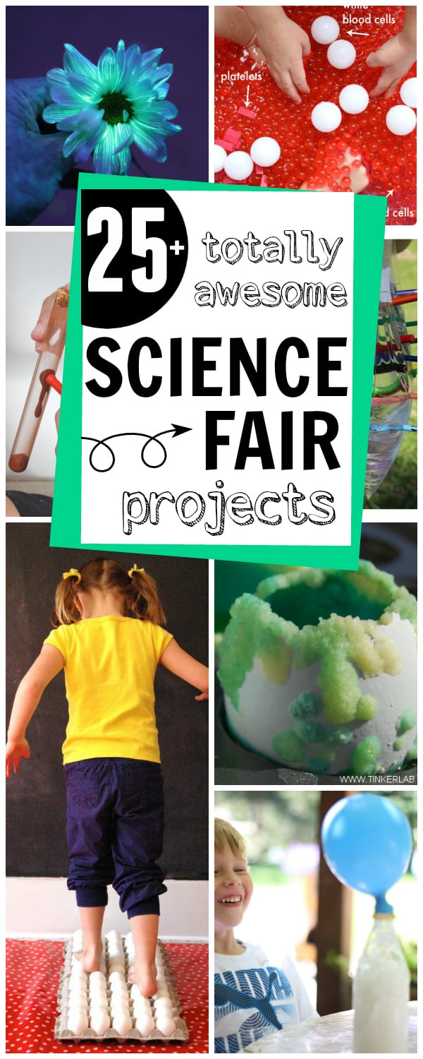 Science Fair Chart Ideas