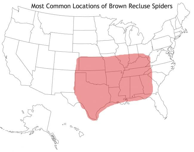 Brown Recluse Spiders by State