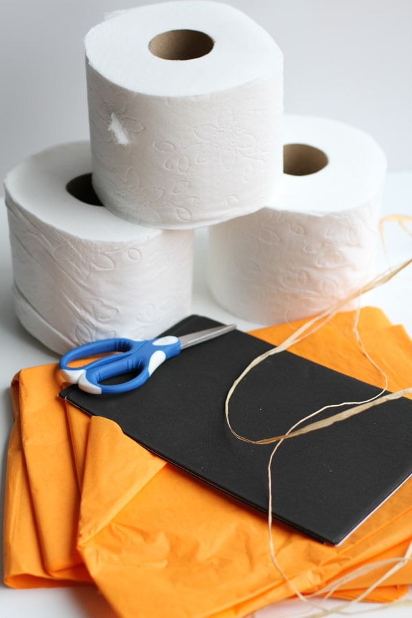Materials for Toilet Paper Pumpkin