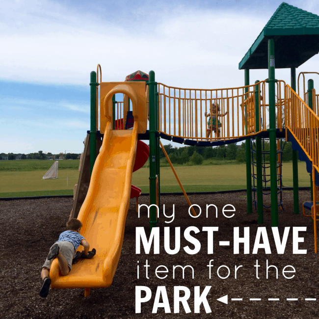 One MUST-HAVE Item for the Park