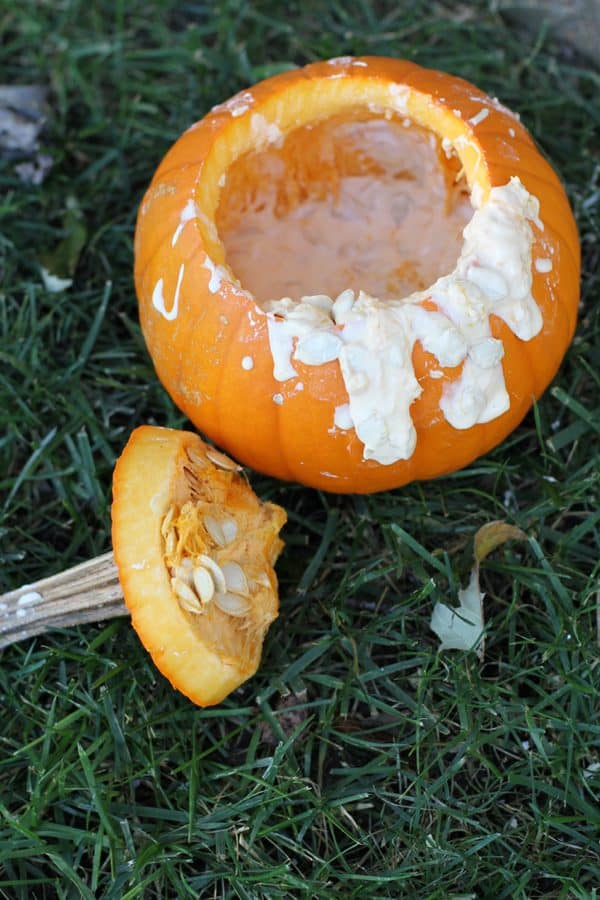Pumpkin Oobleck