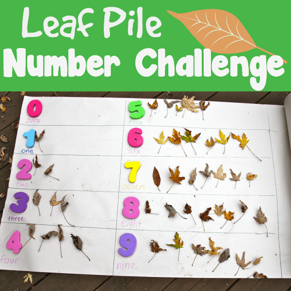 Leaf Pile Number Challenge