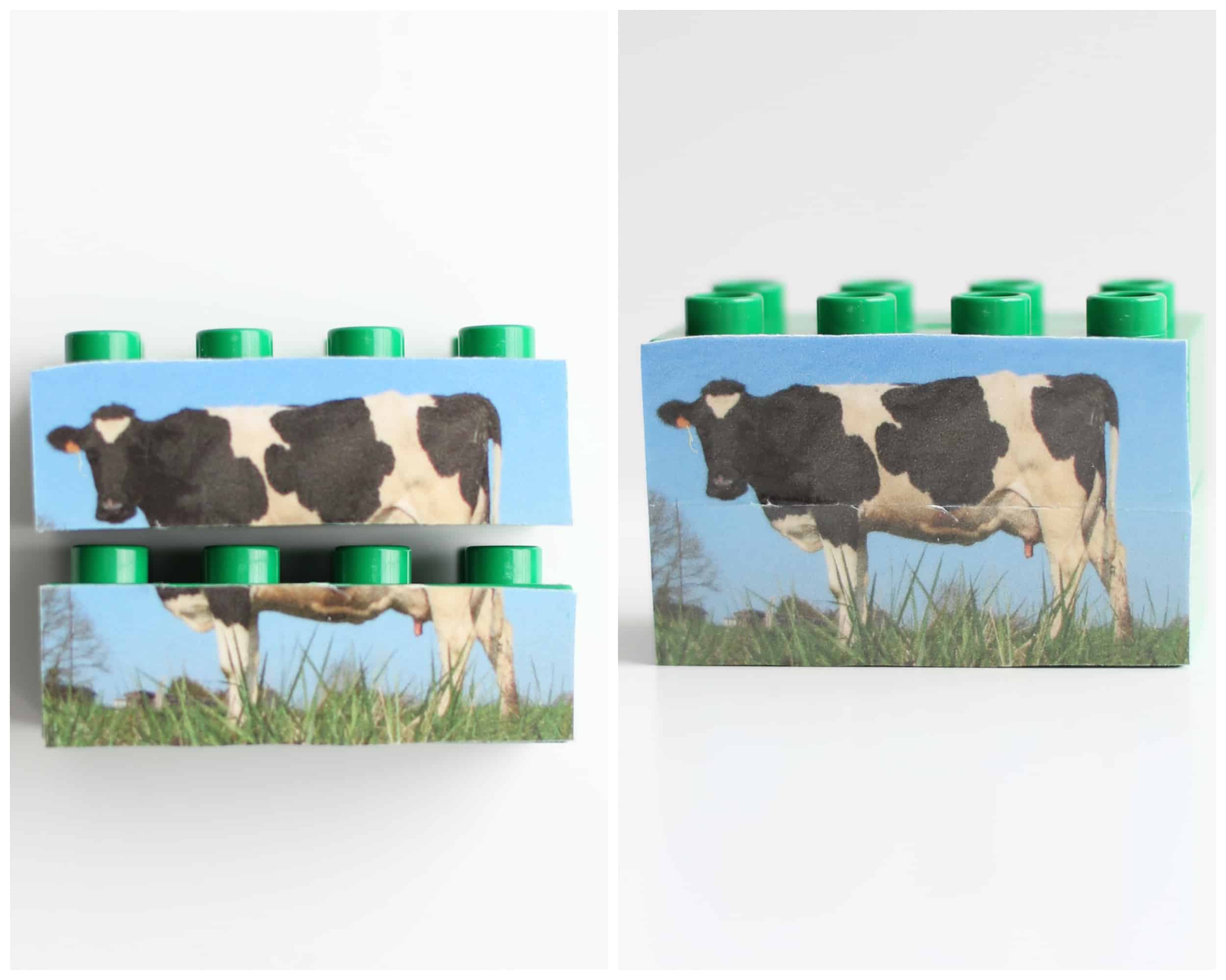 Animal MixUp LEGOs I Can Teach My Child!