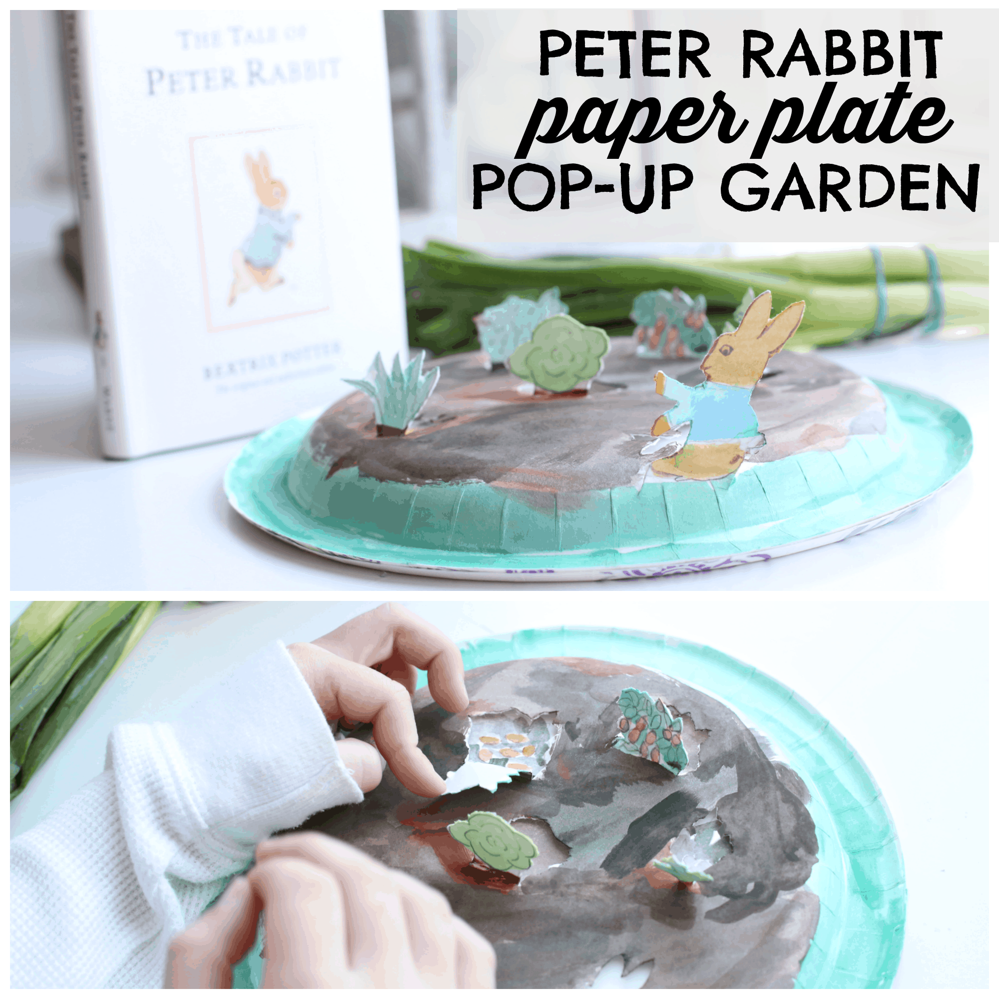Peter Rabbit Paper Plate Pop Up Garden