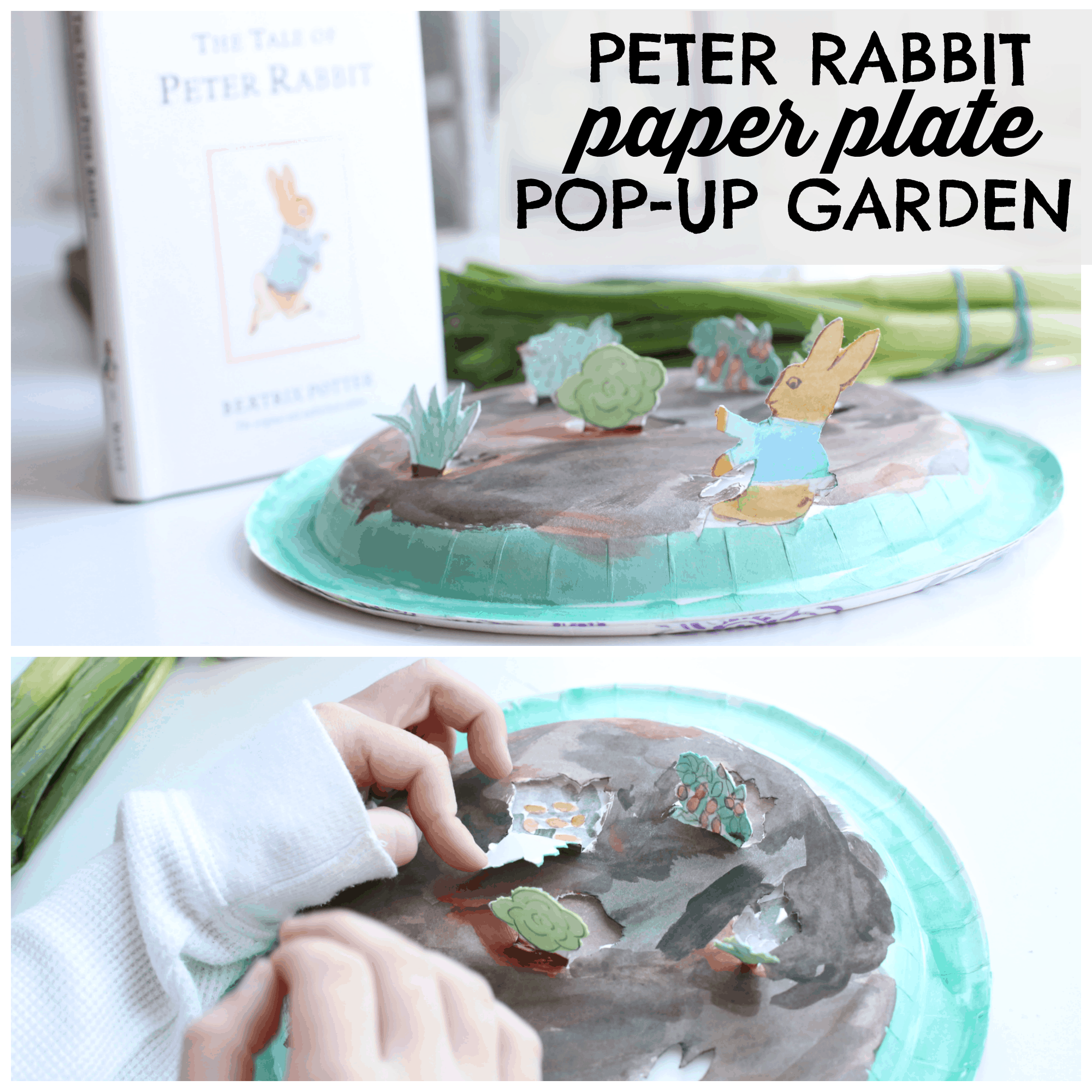 Peter Rabbit Paper Plate Pop Up Garden I Can Teach My Child