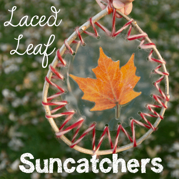leaf-suncatchers
