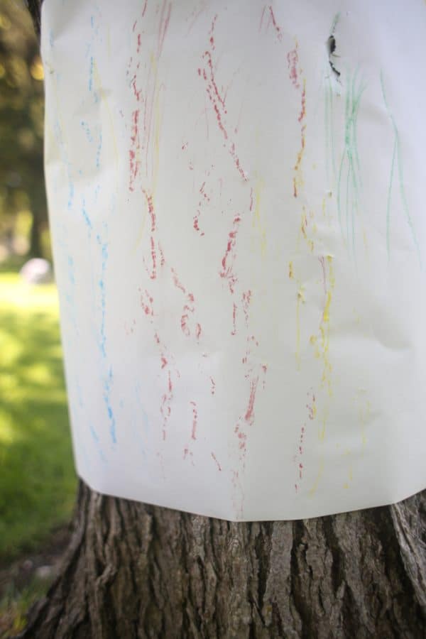 Outdoor Tree Bark Rubbings I Can Teach My Child!