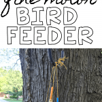 Fine Motor Bird Feeder