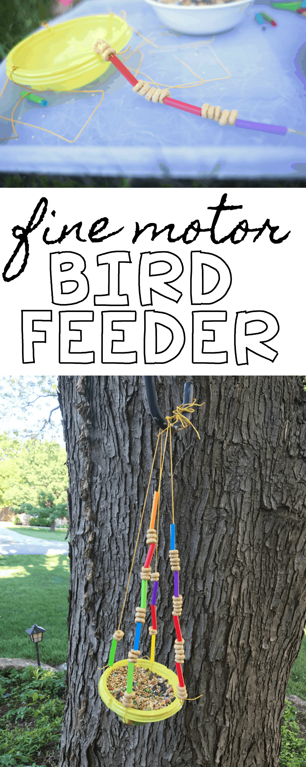 Fine Motor Bird Feeder