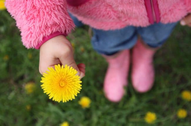 Easy Recycled Spice Jar Dandelion Vases