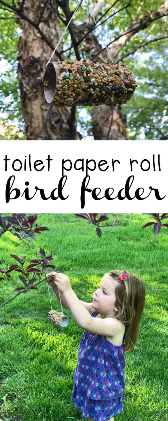 Toilet Paper Roll Bird Feeder