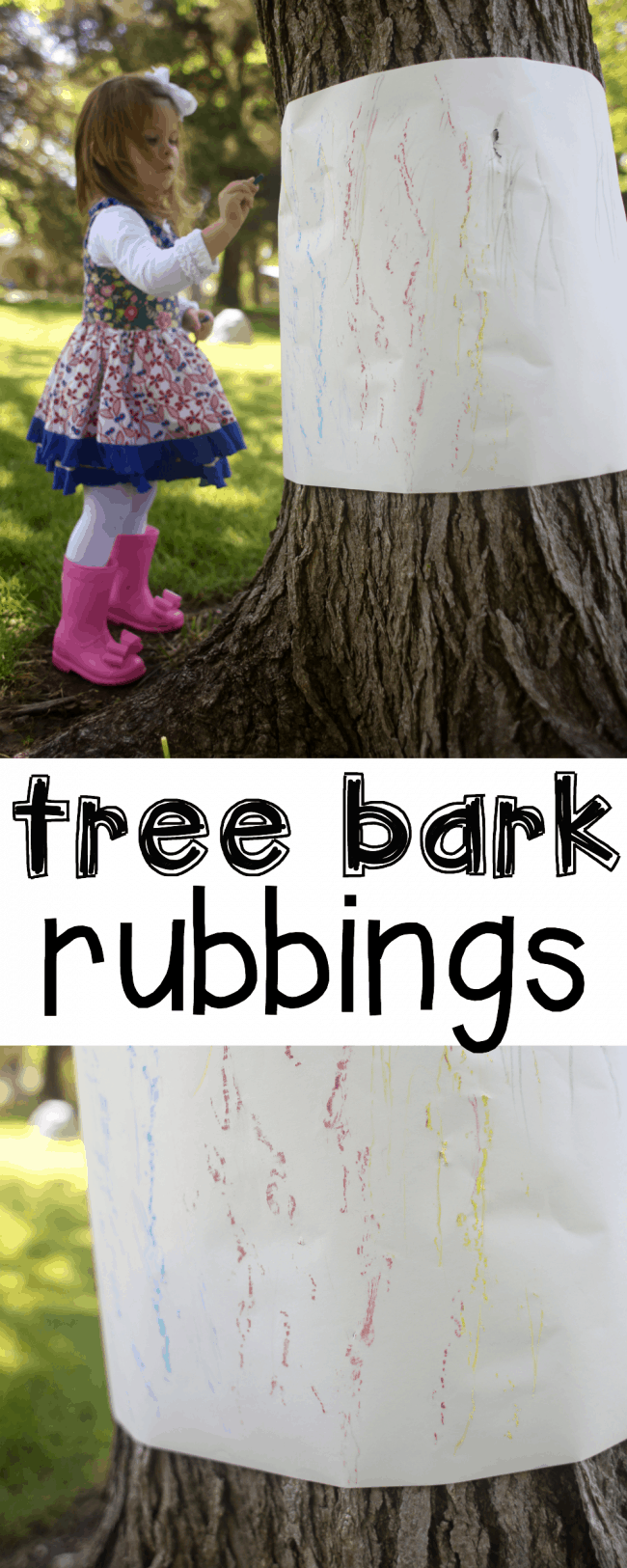 Tree Bark Rubbings