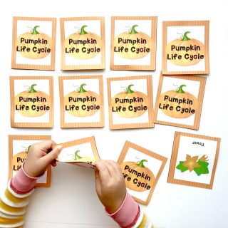 Printable Rhyming Words Memory Game - I Can Teach My Child!