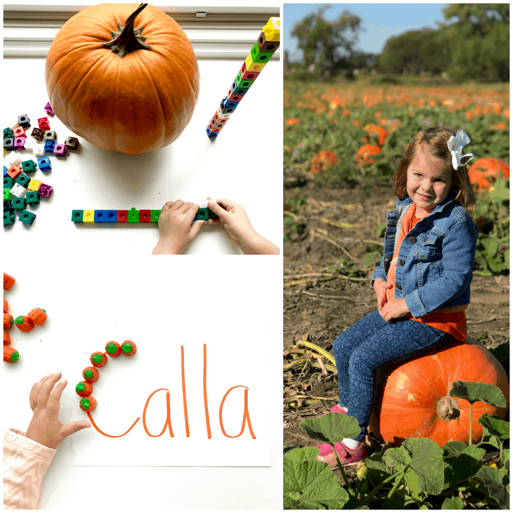 31 Days of Pumpkin Activities - I Can Teach My Child!