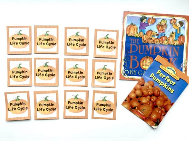 Pumpkin Life Cycle Printable Memory Game