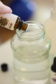 homemade bug spray