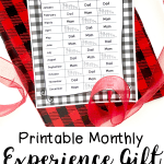 Printable Monthly Experience Gift Schedule for Families with 3 or 4 Children