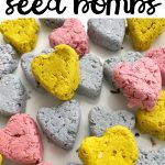 How to Make Wildflower Seed Bombs