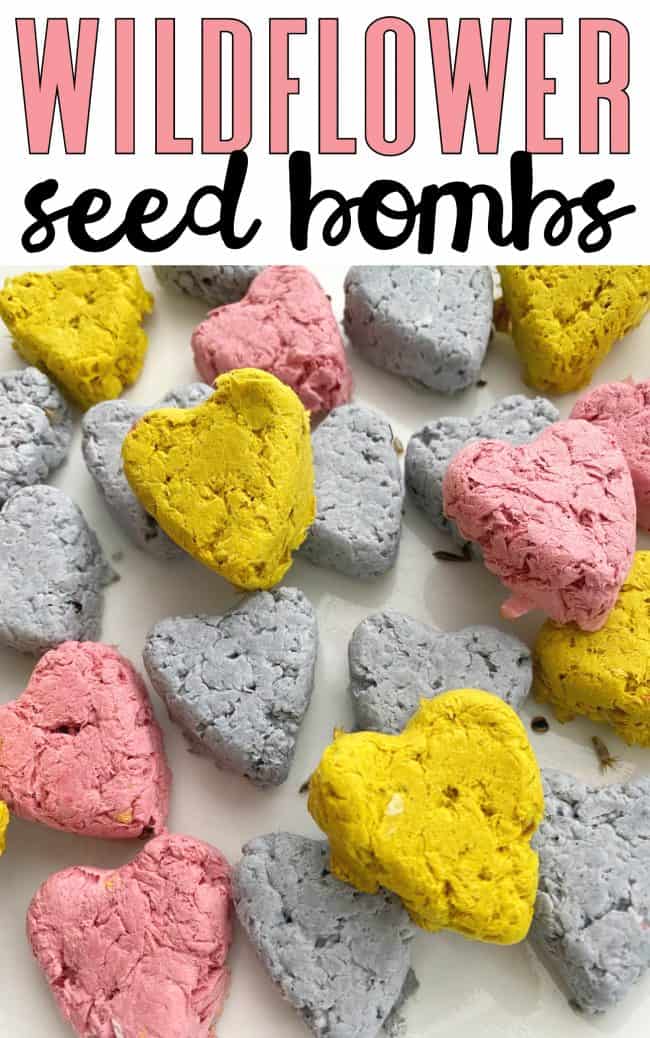 How to Make Wildflower Seed Bombs
