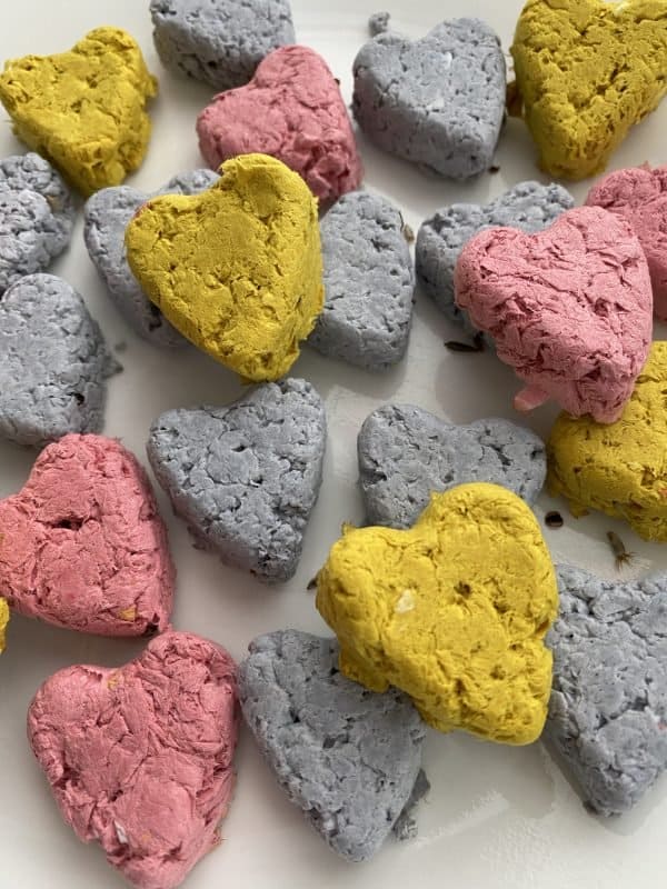 Wildflower Seed Bombs I Can Teach My Child!